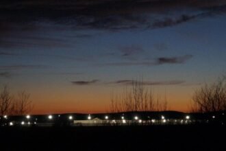 Private Prison Falsified Records in Detainee’s Death in ICE Custody