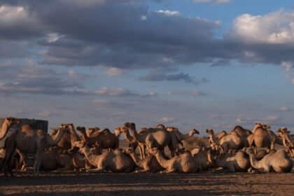 The Cancer Epidemic Left Behind After a U.S. Oil Mission in Kenya