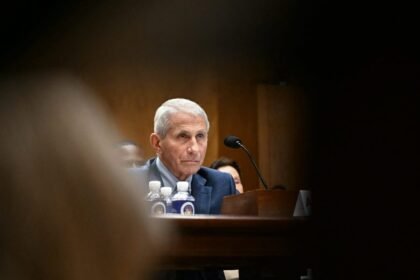 A Broken Healthcare System, Not Fauci’s Diary, Is Why Covid Ravaged the U.S.