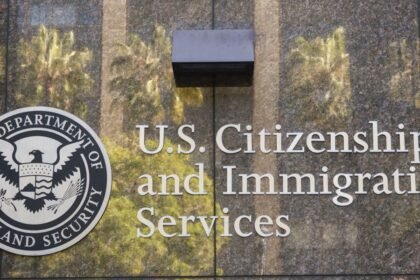 Green Card Applicants Get False Approval Due to Website Glitch