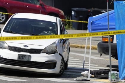 ICE Ordered to Halt Vehicle Stops After Killing Two in a Week