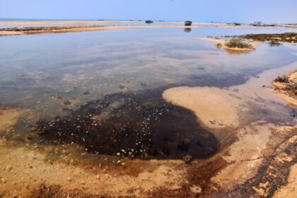 TomDispatch: Ecocide in Iran