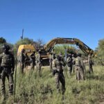 200-Year-Old Tree Bulldozed for Trump’s Border Wall as Standoff Continues