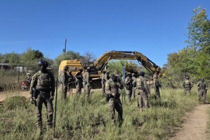 200-Year-Old Tree Bulldozed for Trump’s Border Wall as Standoff Continues