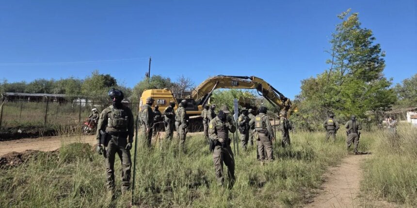 200-Year-Old Tree Bulldozed for Trump’s Border Wall as Standoff Continues